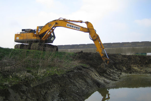 Landscaping a lake